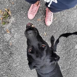 Meet your Posher, Devon